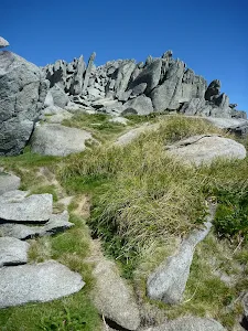 Path to top of Mt Townsend