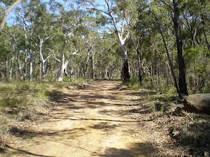 Servicetrail up to Tunks Ridge Reserve