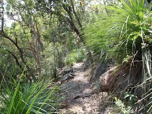 The Gibberagong Track