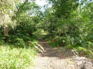Wide track on the Galgabba Point walk