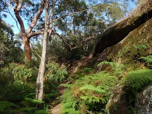 Near the main cave on Kanning Walk