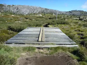 Crossing the upper reaches of Rock Creek