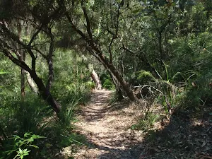 The Sphinx Track