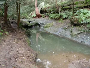 Stormwater next to Rail to River walk