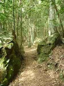 Federal Pass track passing between two boulders in the dense forest