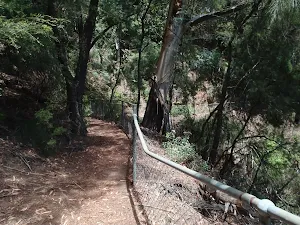 Walking tracks on Prince Henry Cliff walk