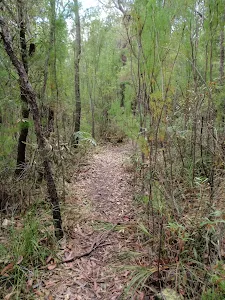 Through the scrub on the Highway Ridge trail