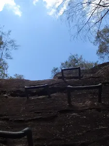 short peg ladder