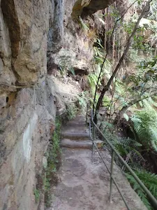 Track between Gorden Falls Reserve and Pool of Siloam