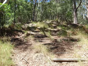 Walking up the ridge on Sandringham track