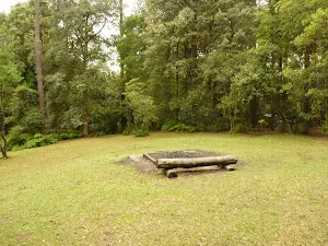Picnic area at the Pines campsite in the Watagans