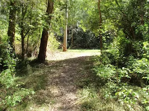 Small gully crossing