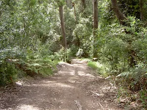 Graham Drive Track to Little Beach
