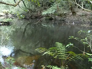 Wollombi Brook Pool
