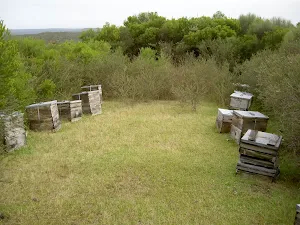 Bee hives