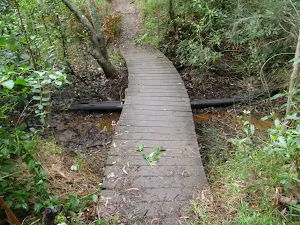 Boardwalk near Mowbray Park
