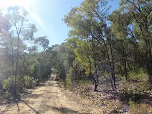 Most of the Western Commission Track has little shade