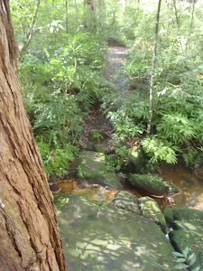crossing a small creek