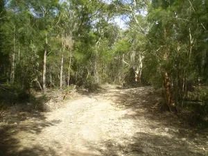 Service trail North of Sphinx