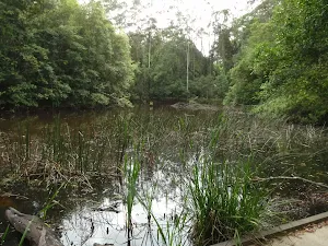Seymour Pond from Waterman View