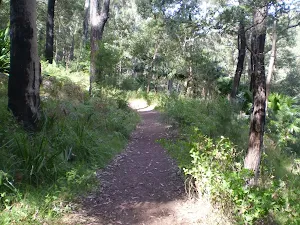 Heading east on the Hacking River