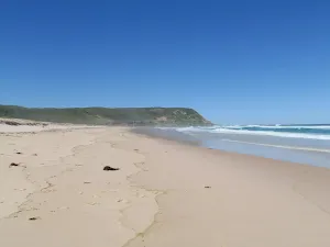 Looking to the far northern end of Birdie Beach