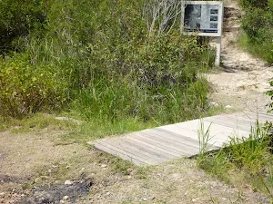 Track intersection and timber footbridge on the Coastal walk