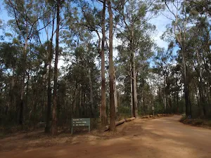 Mt Portal intersection
