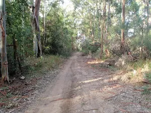 following the dirt roads