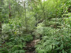 Narrow Section of track 