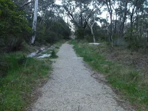 Management trail