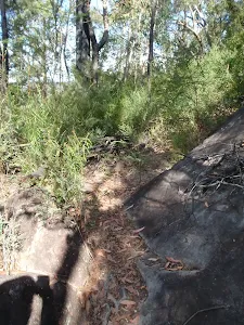 Track below Buniyah Lookout