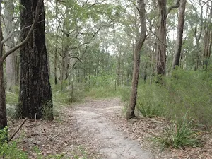 Track on the ridge