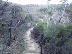 Track to Golf Links Lookout
