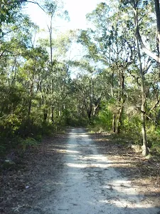 Perimeter Trail near Terrey Hills
