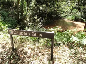 Cappers Gully