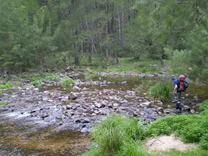 Cox's River