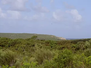 View over heath from Marley Track