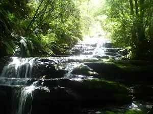 Leura Falls