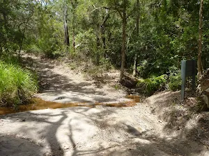 Creek crossing on a trail on the coastal walk in the Wallarah Pennisula