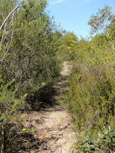 Highway Ridge track