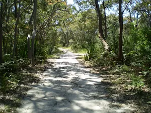 The squeezway near Lilyvale track