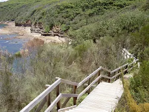 Bouddi Trail boardwalk to Gerrin Point
