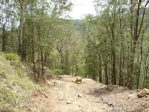 Along the rocky track Turners Rd