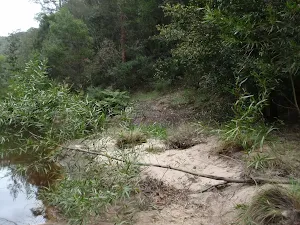 Sandy bank along Glenbrook Creek
