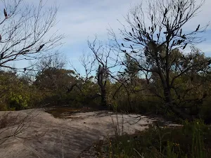 End of 248 Trail lookout