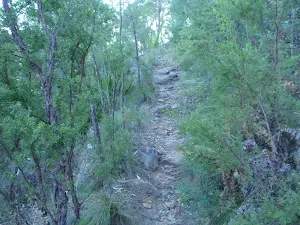 Climbing the Finchs Line track