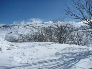 Walking down along the wide trail