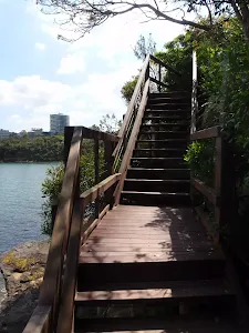 Stairs at Taronga Wharf