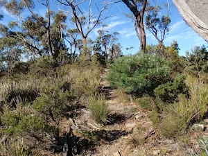 Track on the ridge to Castle Rock